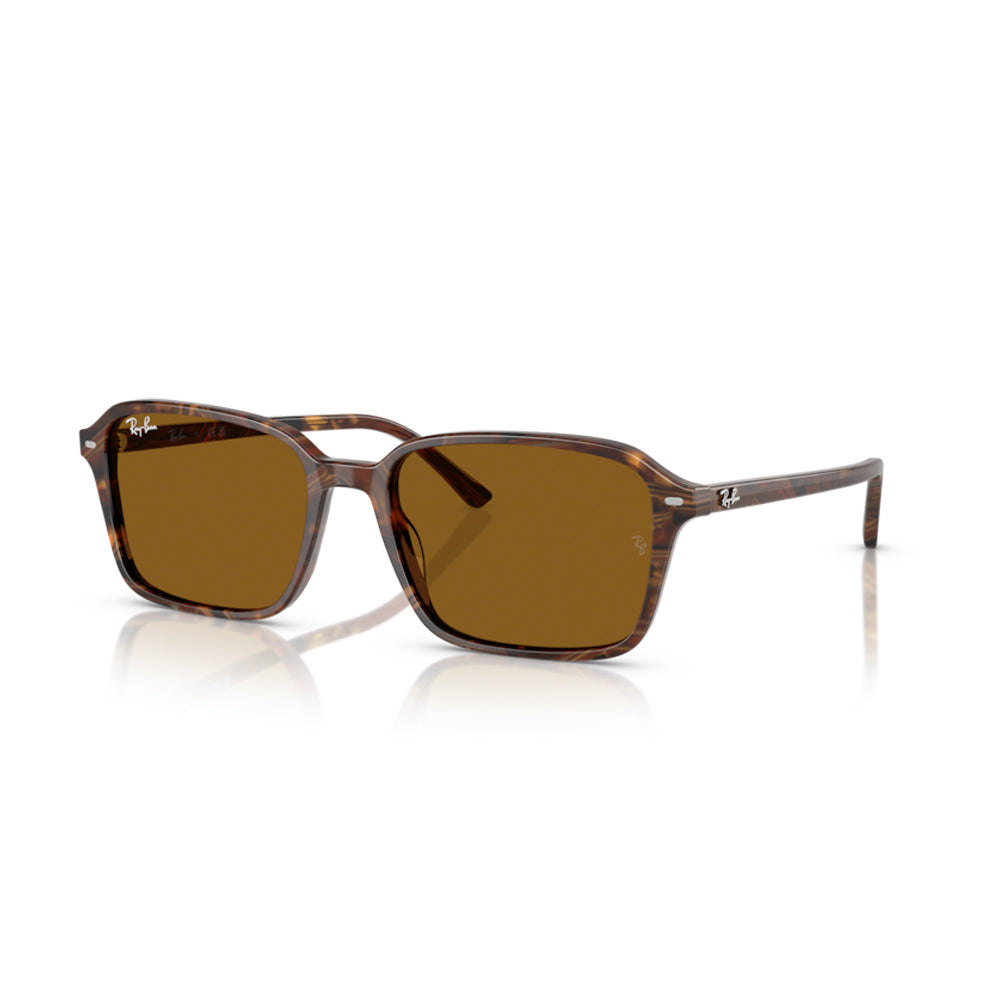 Ray-Ban RB2231, 141833 (56/18 - 145)