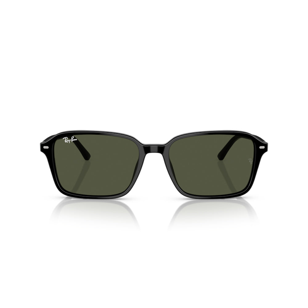 Ray-Ban RB2231, 901/31 (58/18 - 145)